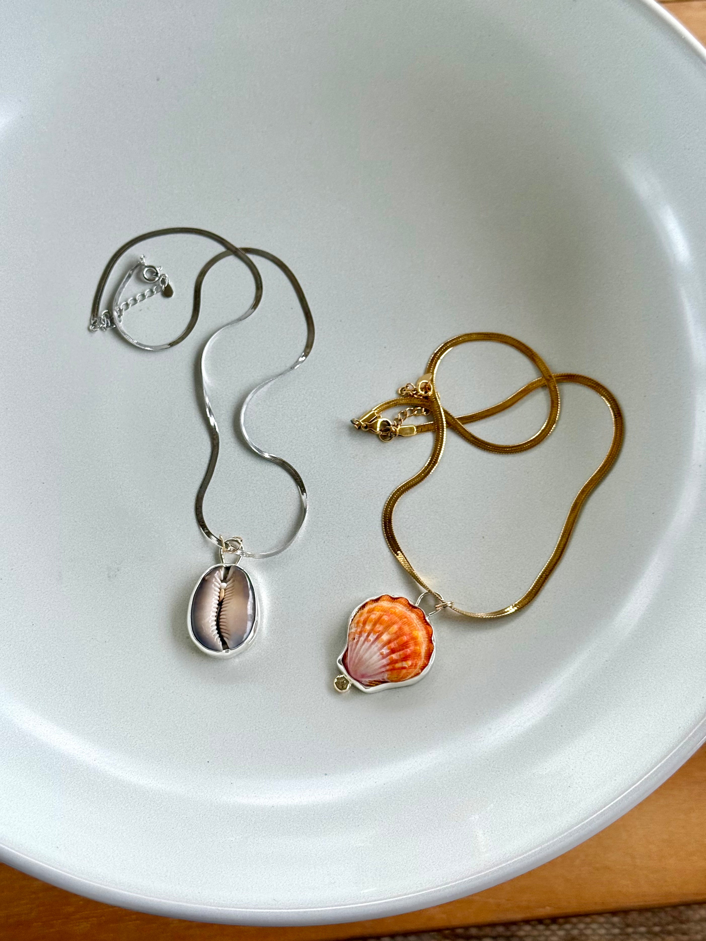 Cowrie Shell Bezeled Necklace
