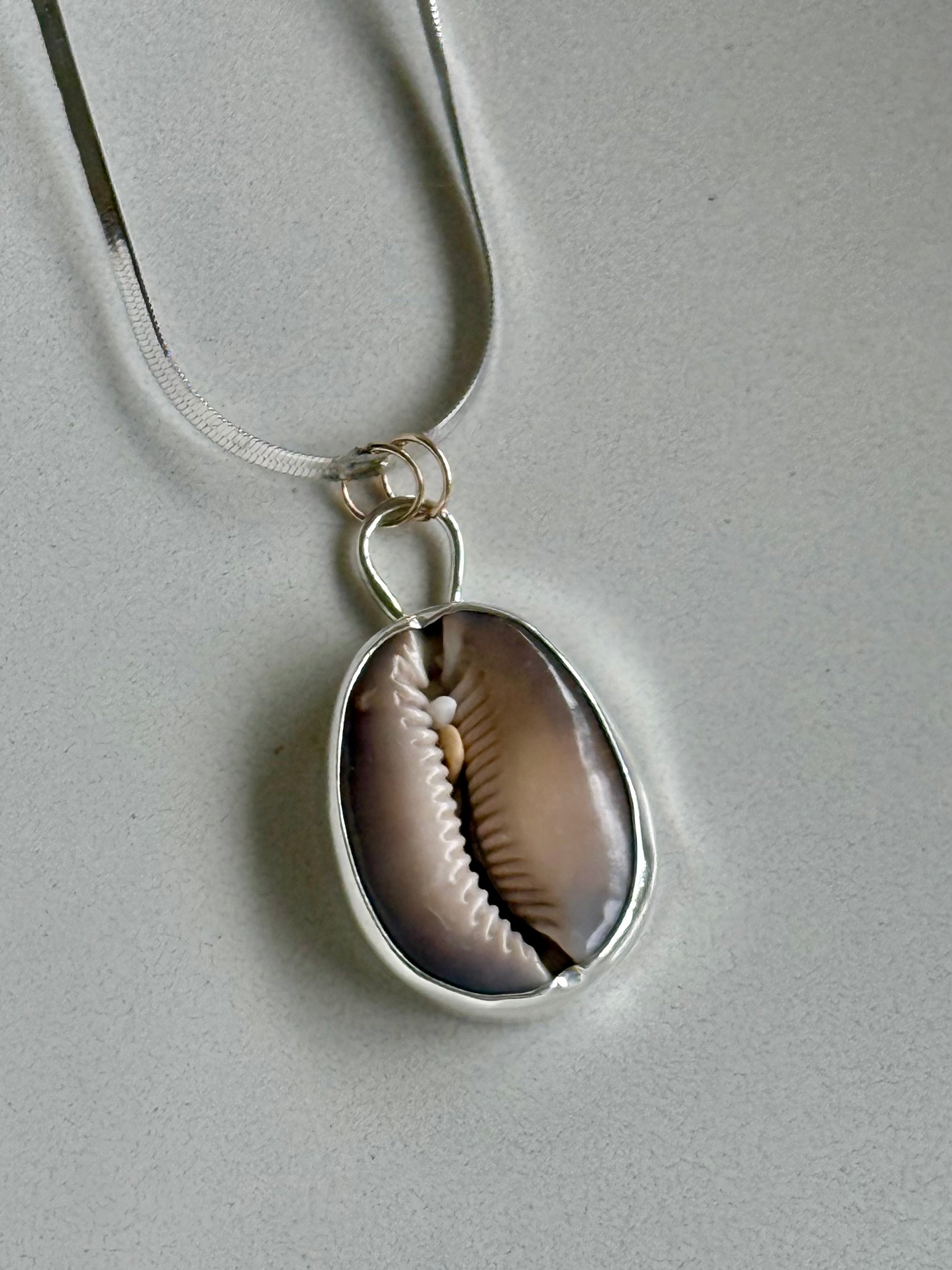 Cowrie Shell Bezeled Necklace