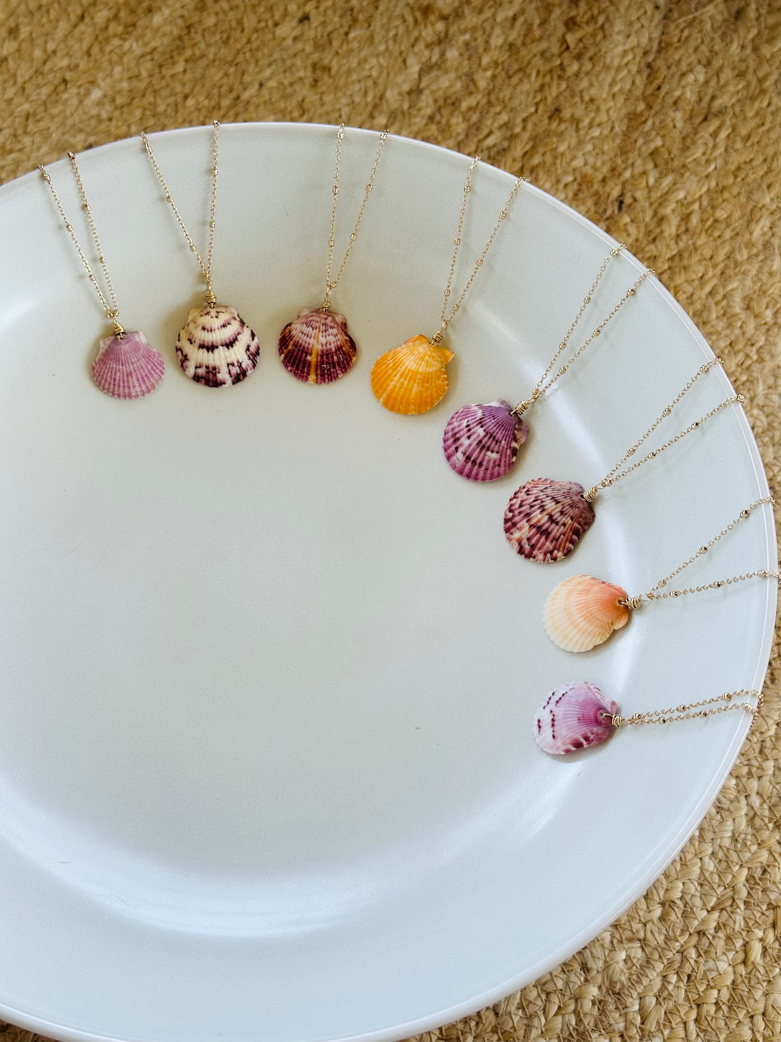 Calico Scallop Necklace