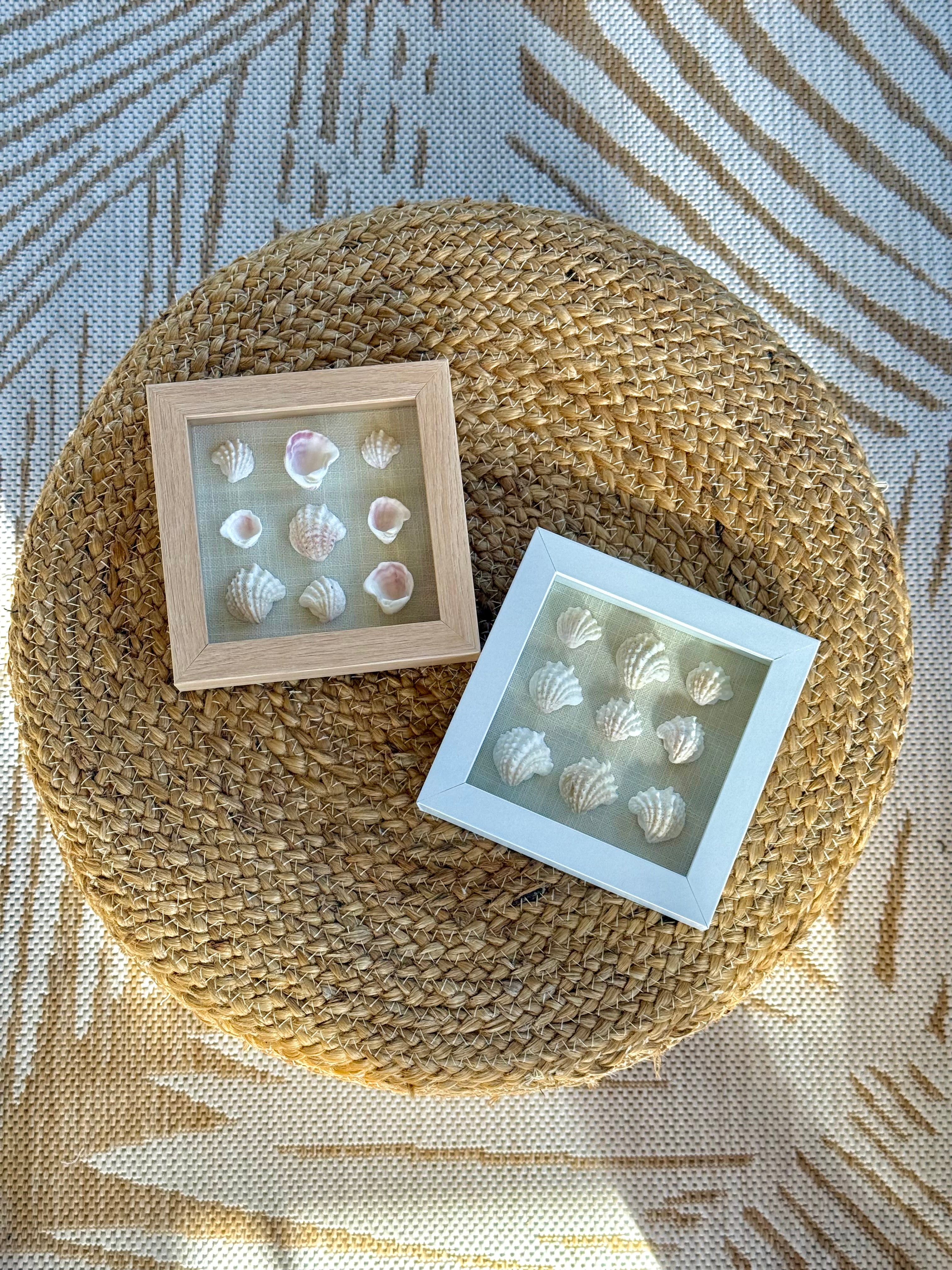 Pastel Pink Spiny Jewel Shell Shadow Box
