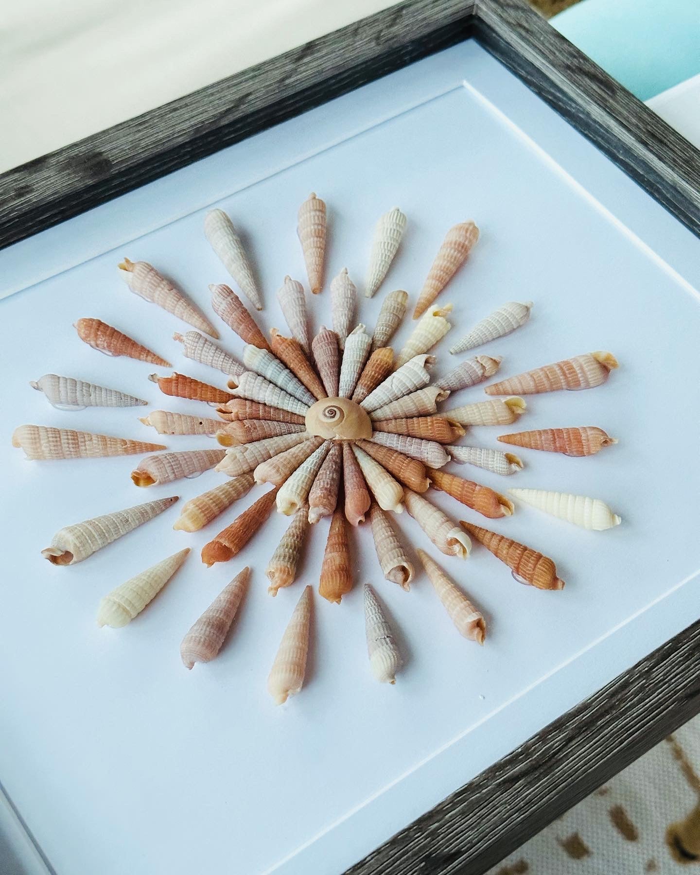 11x14 “Sunburst” Seashell Shadow Box