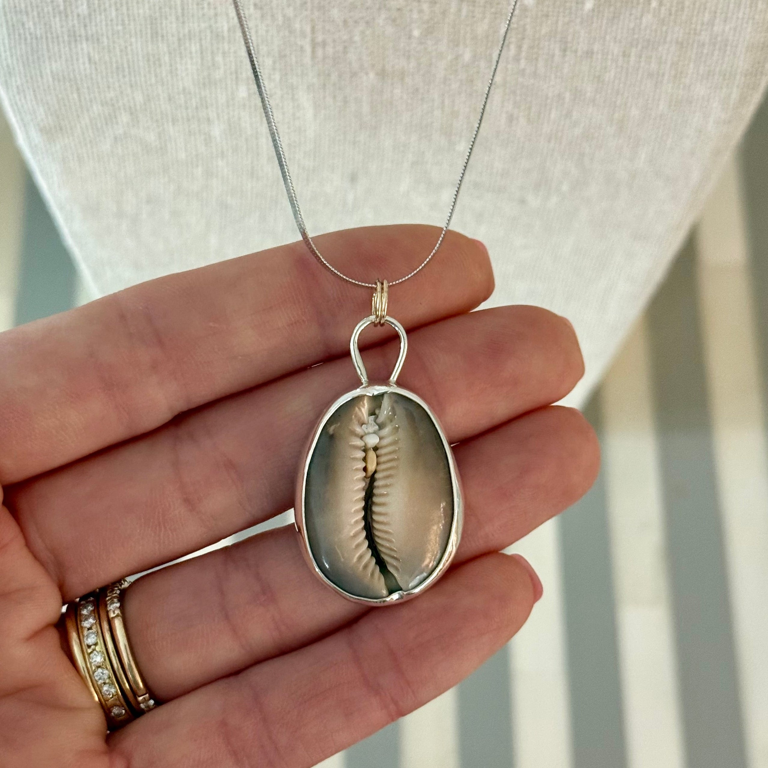 Cowrie Shell Bezeled Necklace