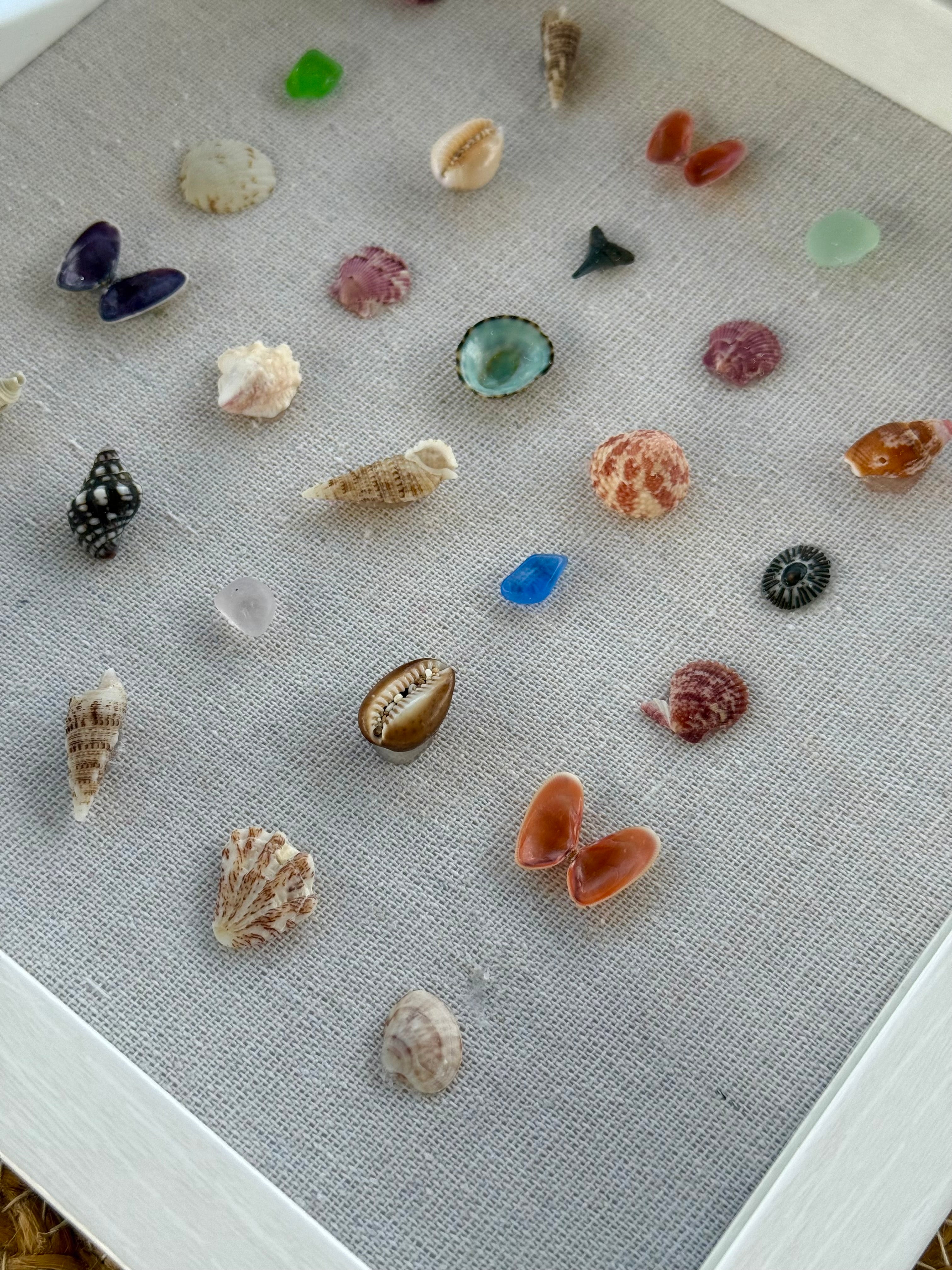 Ocean Lovers 9x9 Shadow Box