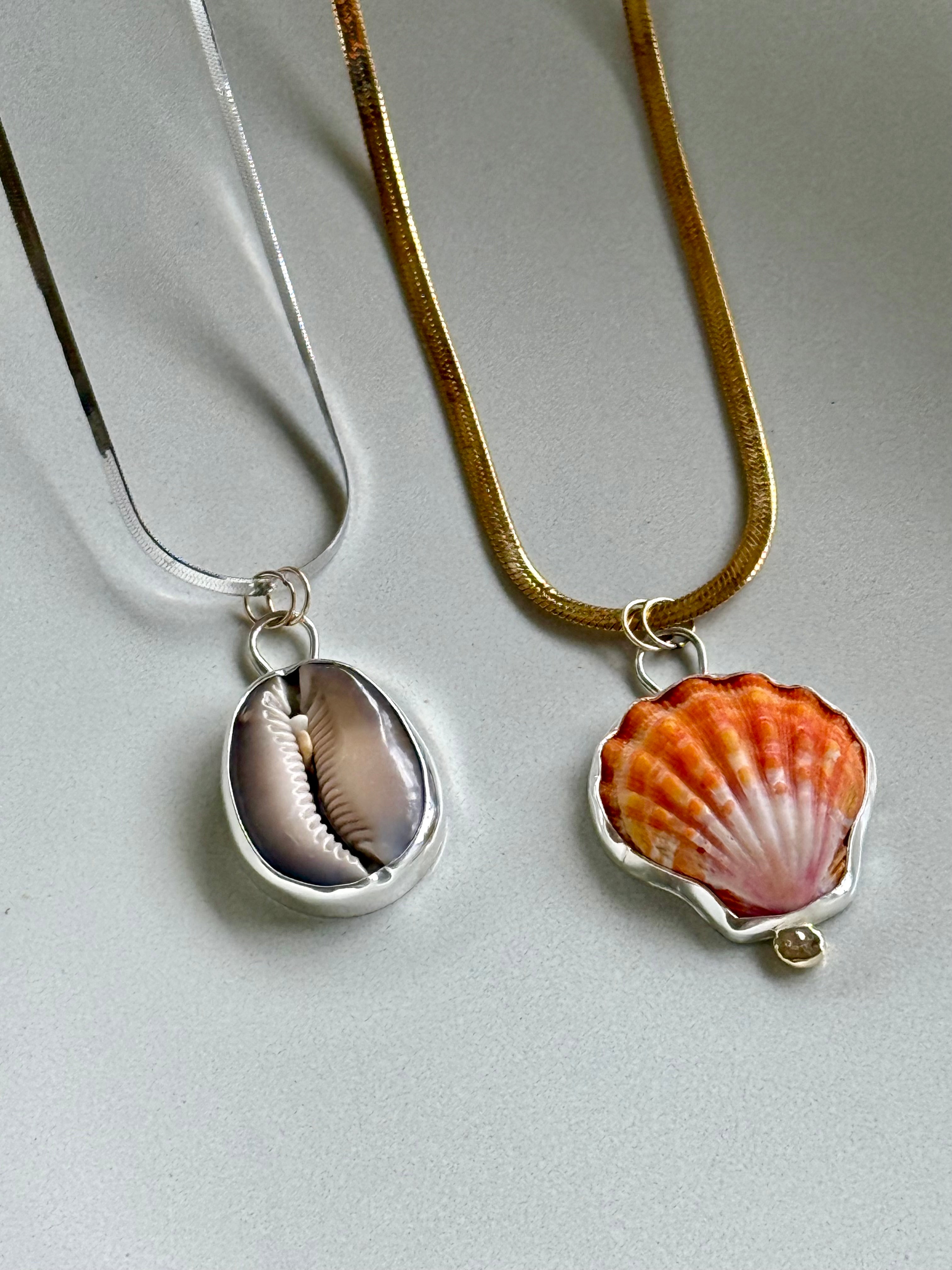 Cowrie Shell Bezeled Necklace