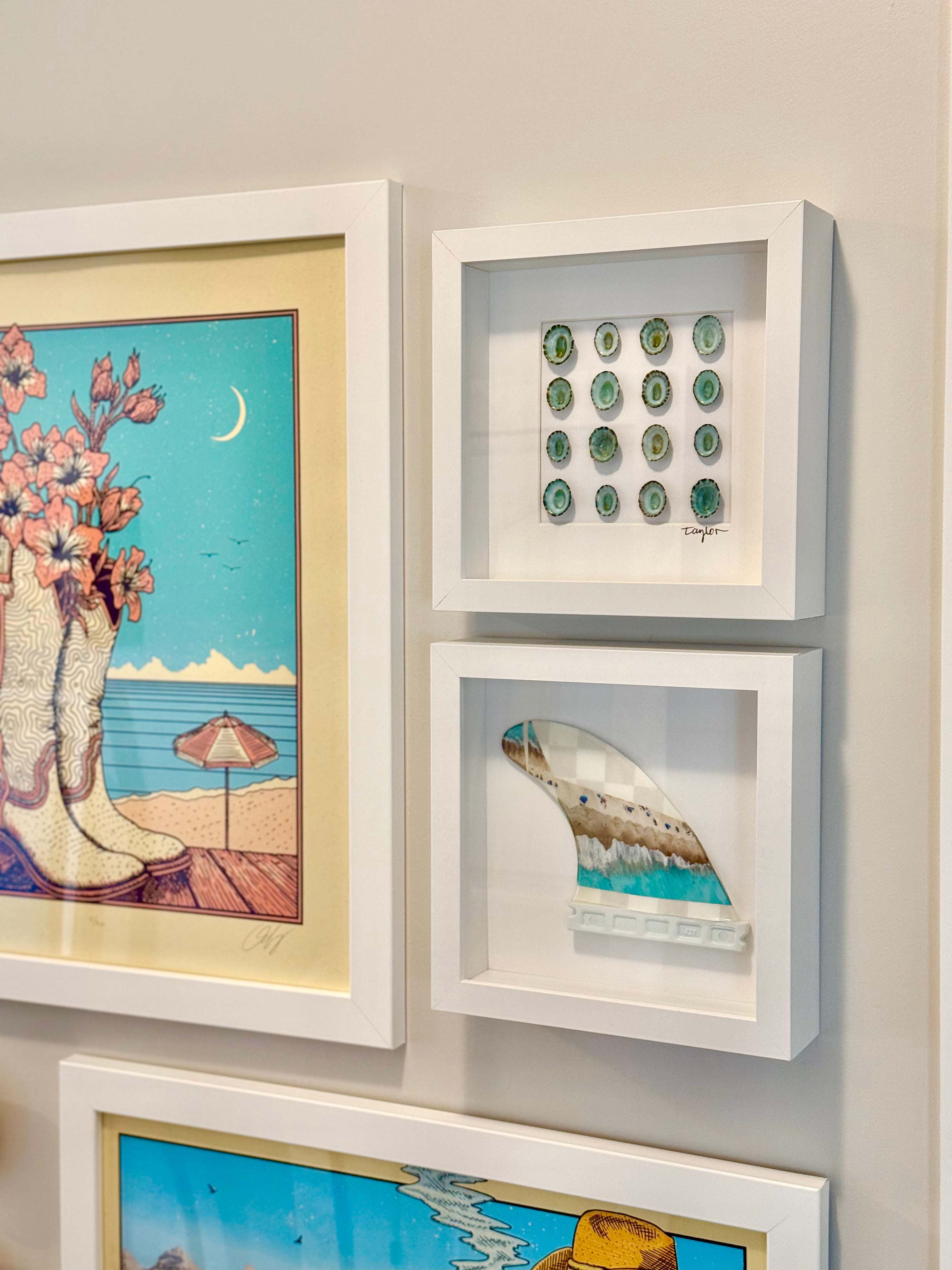 Blue Limpet Shell Shadow Box