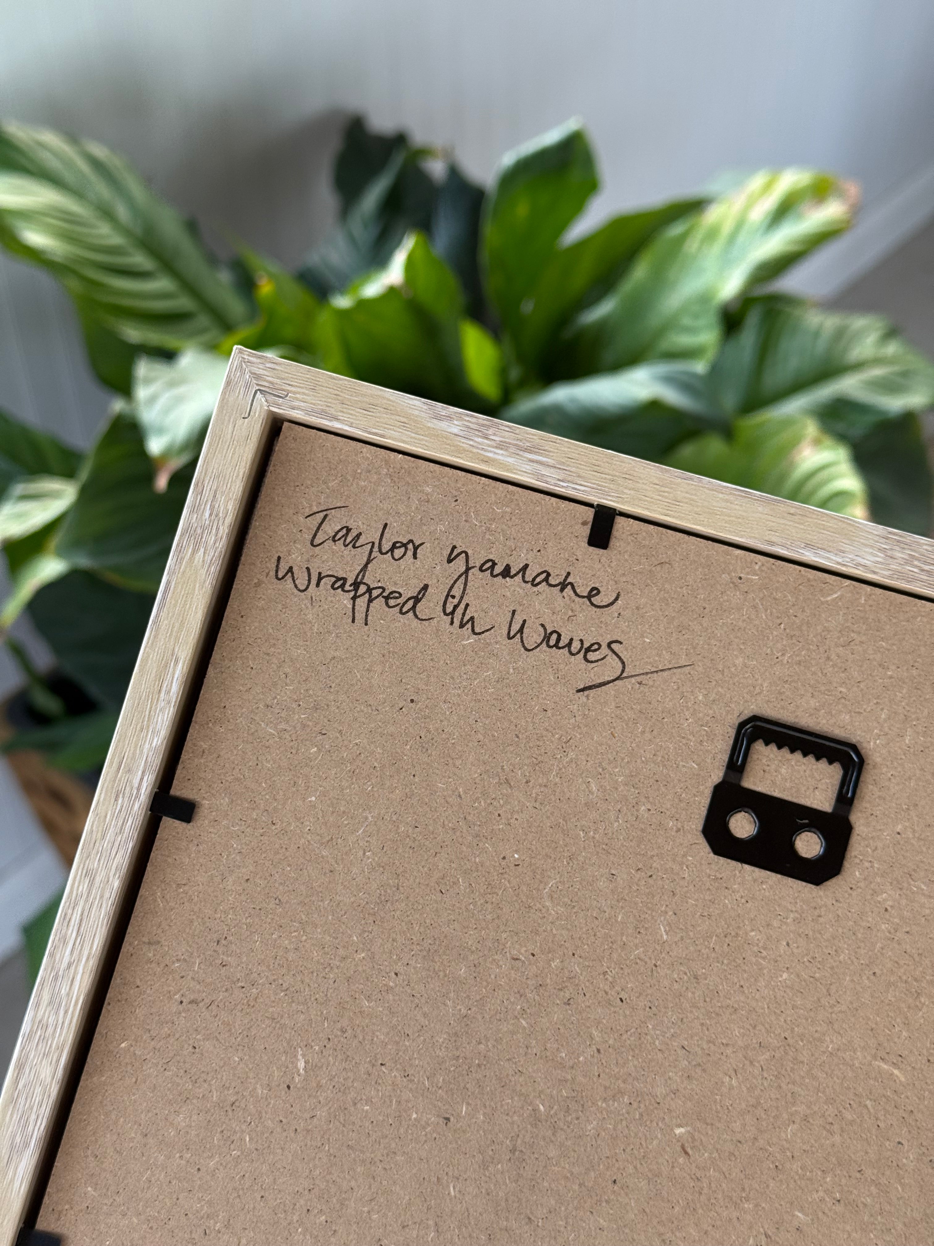 Sea Grape Foliage Shadow Box