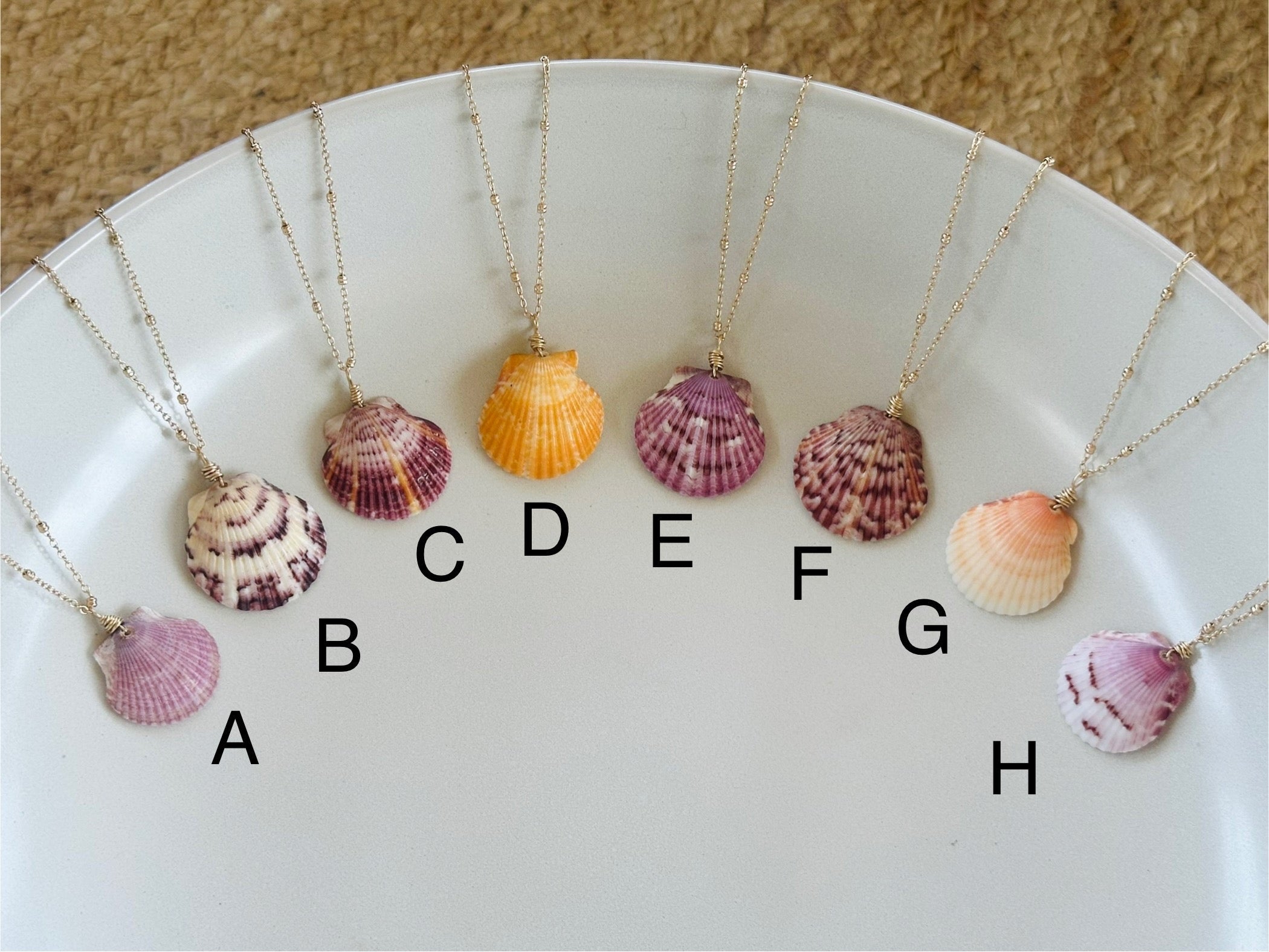 Calico Scallop Necklace